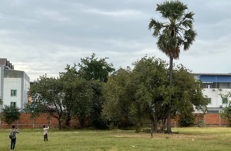 លួចម៉ូតូអ្នកឡើងត្នោតបានសម្រេចហើយជ្រុះស្បែកជើងត្រលប់មករើសស្បែកជើងវិញប្រជាពលរដ្ឋចាប់ក្របួចជាប់ប្រគល់ទៅឲ្យប៉ូលិសចាត់ការ…